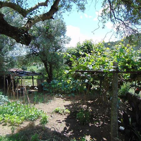 Cossourado  Casa Rebeloゲストハウス エクステリア 写真
