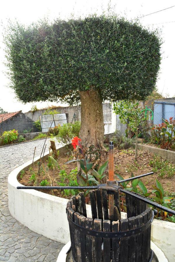 Cossourado  Casa Rebeloゲストハウス エクステリア 写真