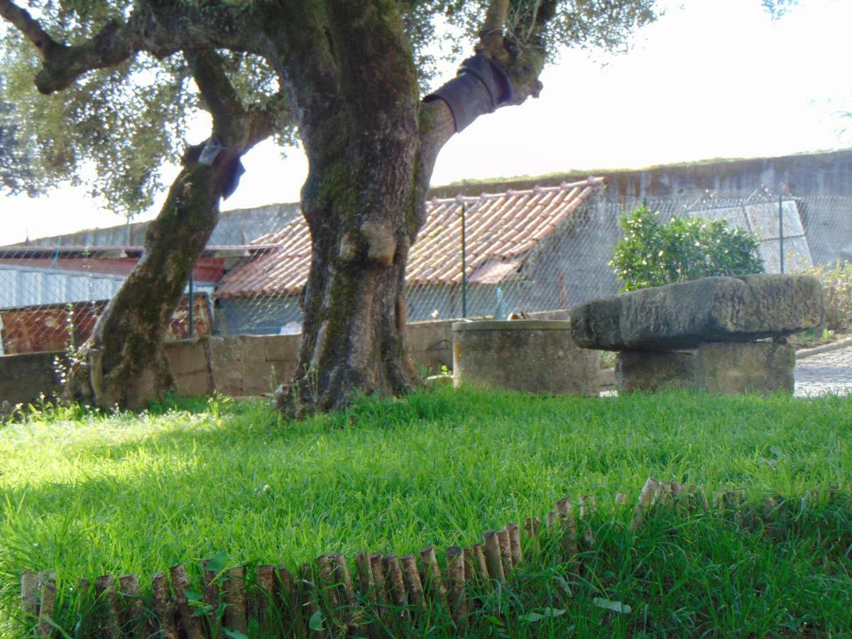 Cossourado  Casa Rebeloゲストハウス エクステリア 写真